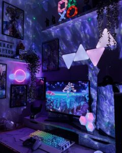 PC gamer